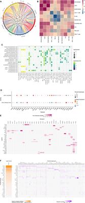 Single-Cell Transcriptome Analysis Reveals Changes of Tumor Immune Microenvironment in Oral Squamous Cell Carcinoma After Chemotherapy